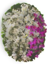 Coroa de Flores Dupla Vip II - Imagem 2