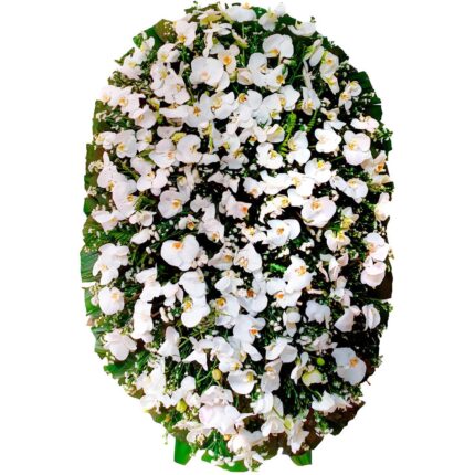 Coroa Luxo Orquídea